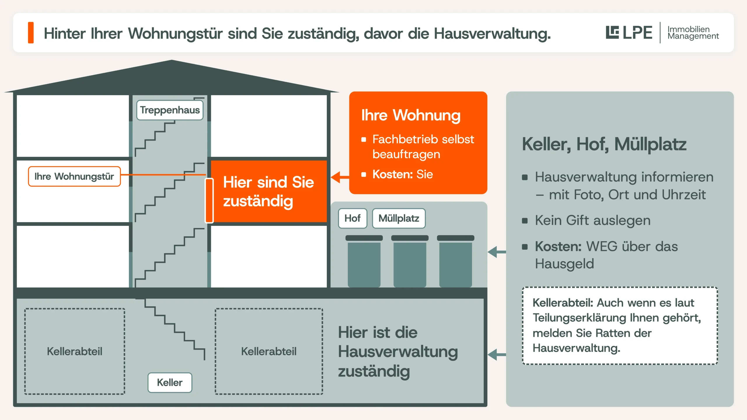 Ratten im Haus: Hinter Ihrer Wohnungstür sind Sie zuständig, davor die Hausverwaltung – in Treppenhaus, Keller, Hof und Müllplatz